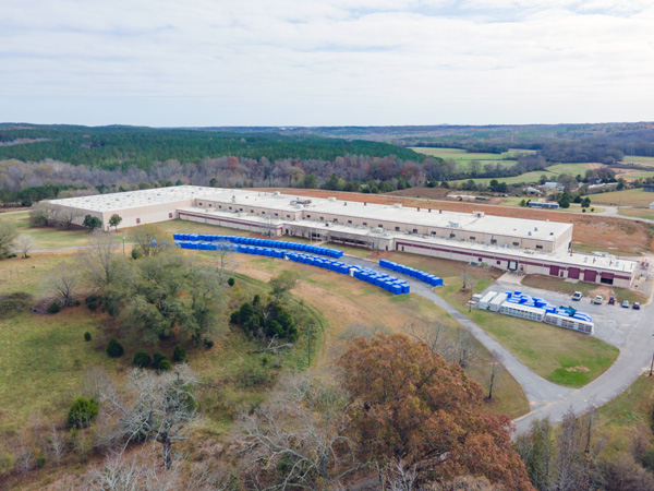 Genesis Harris Plant